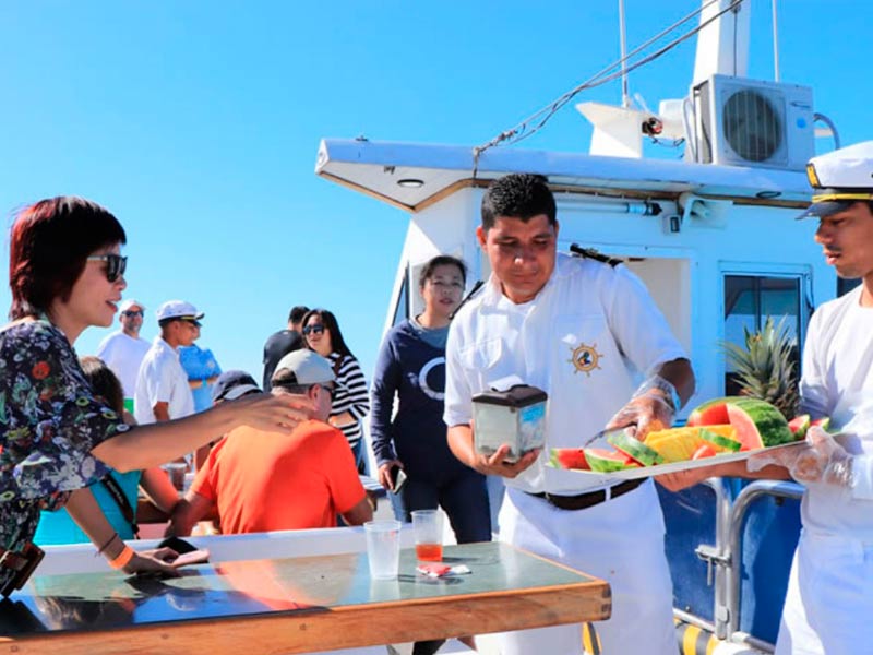 Tour Isla Tortuga-Puntarenas 